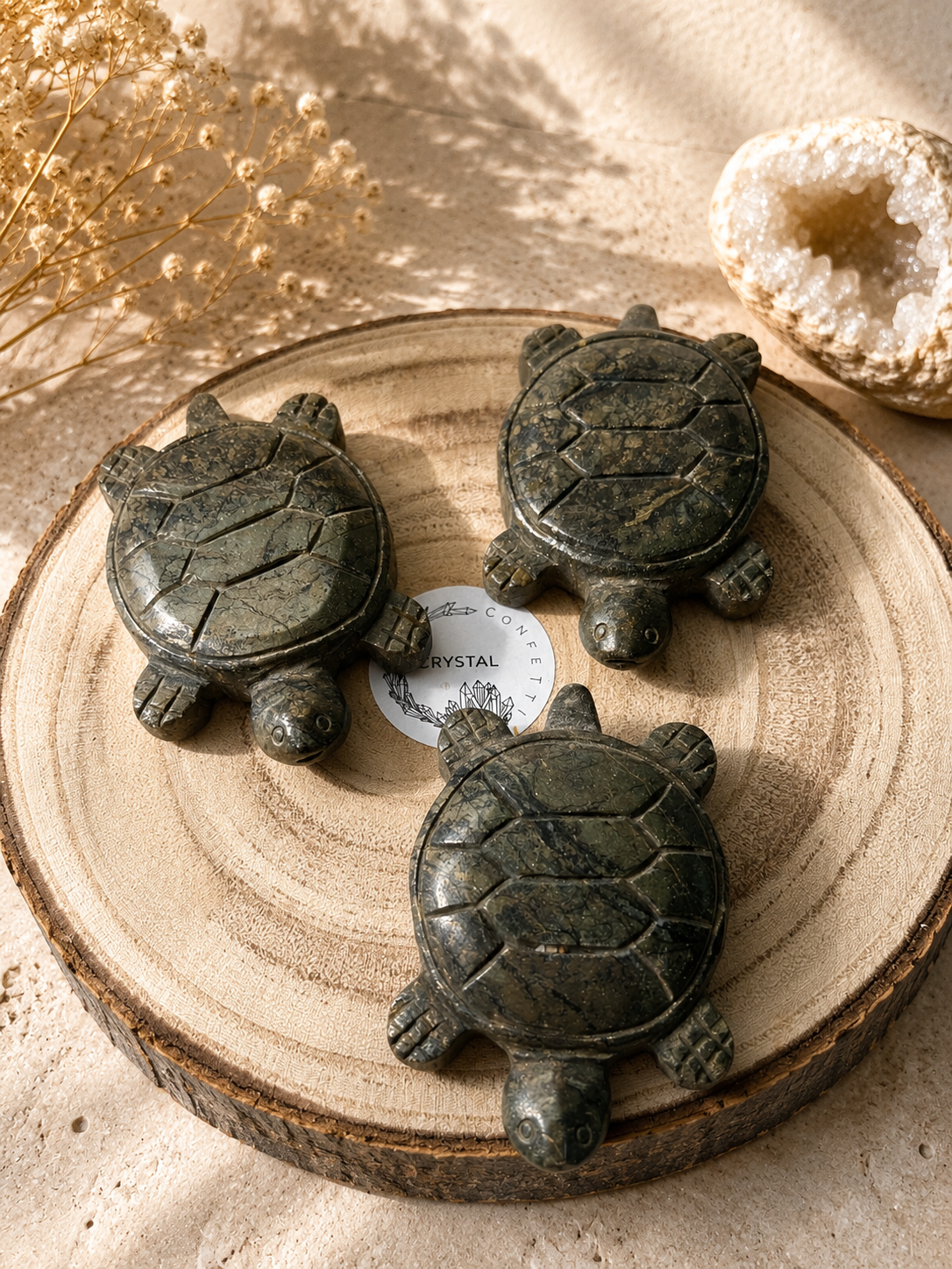 Pyrit Schildkröte