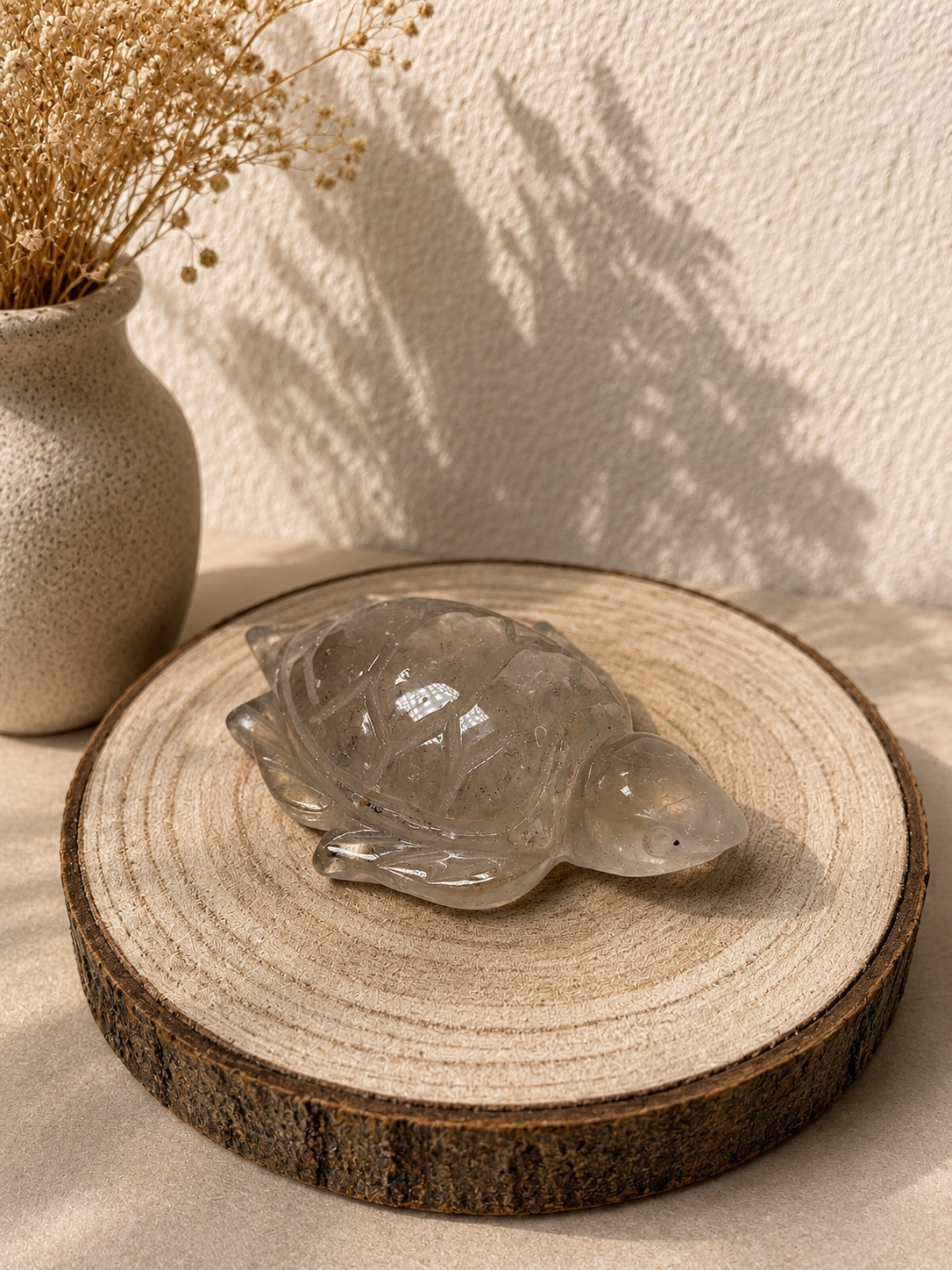 Bergkristall Schildkröten