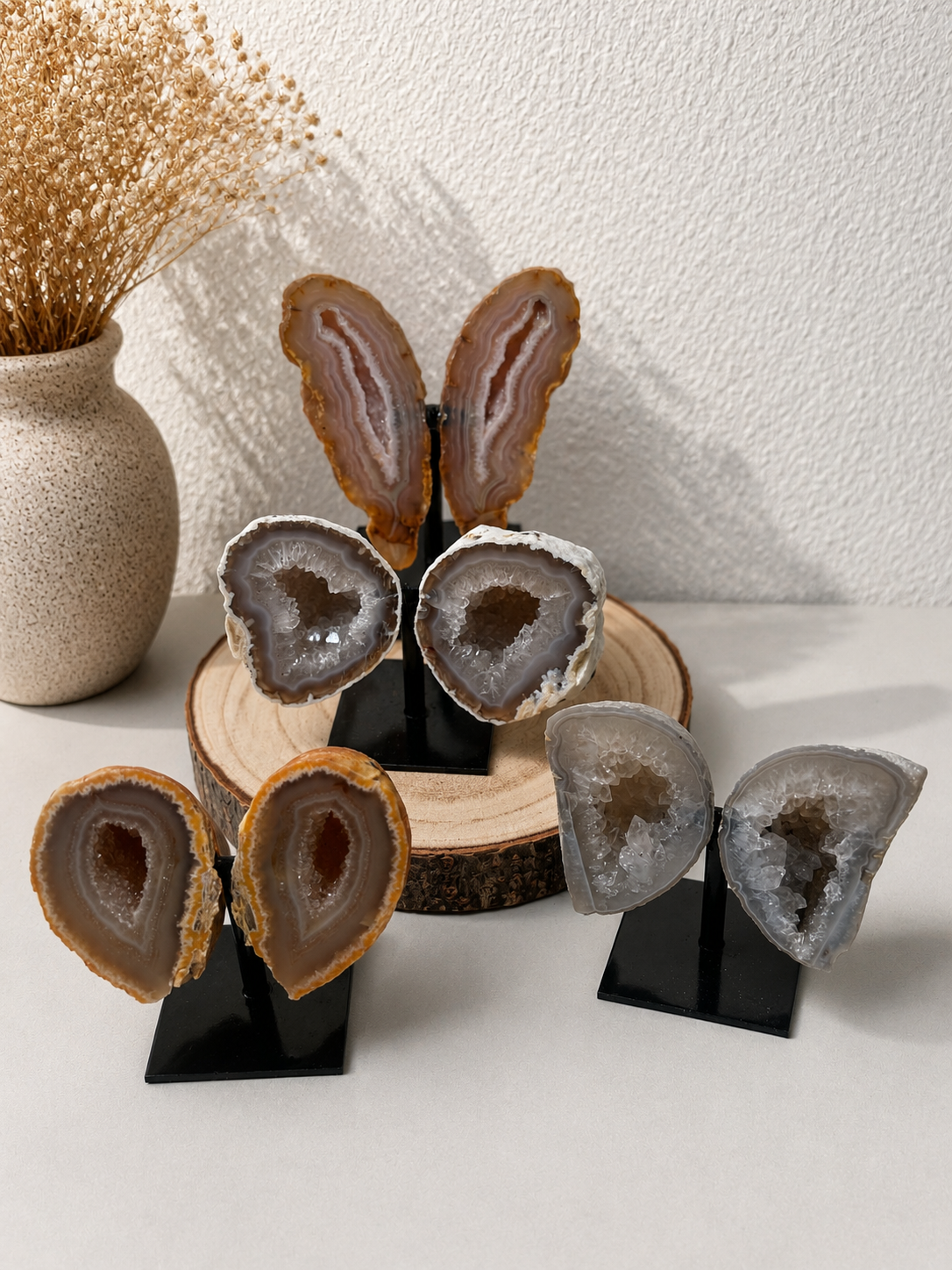 Achat Schmetterlinge