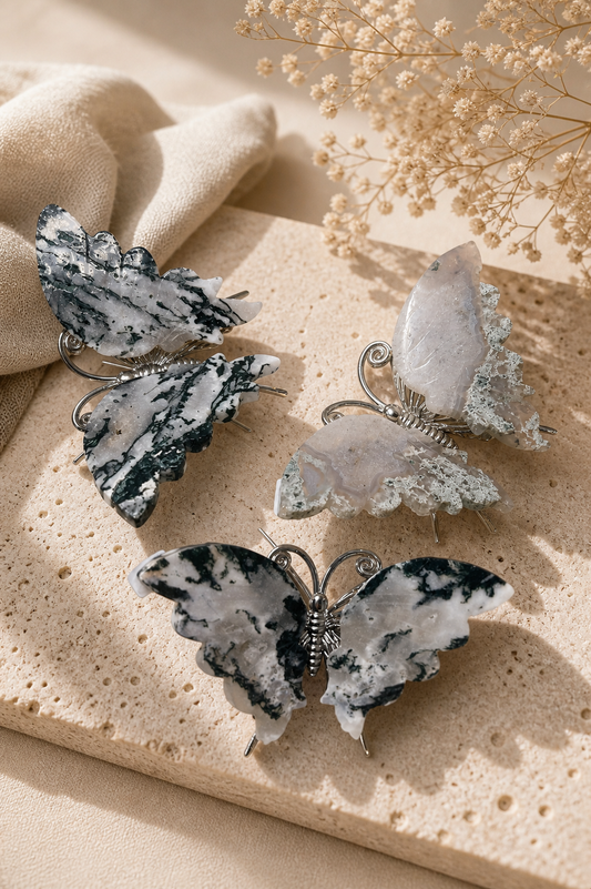 Moosachat Schmetterling