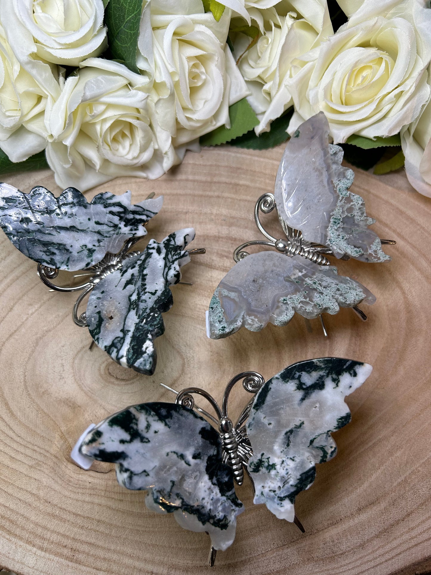 Moosachat Schmetterling
