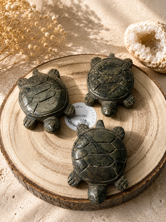 Pyrit Schildkröte