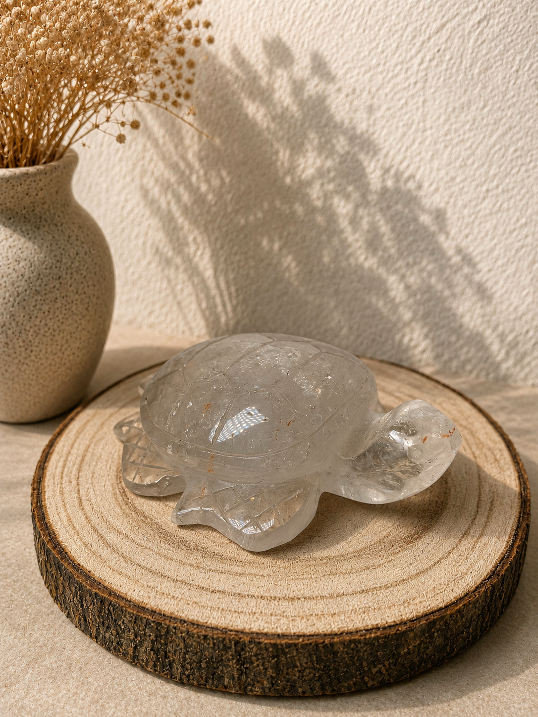 Bergkristall Schildkröten