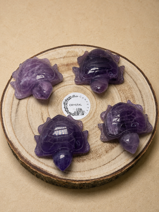Amethyst Schildkröten