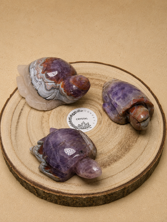 Crazy Lace Achat-Amethyst Schildkröte