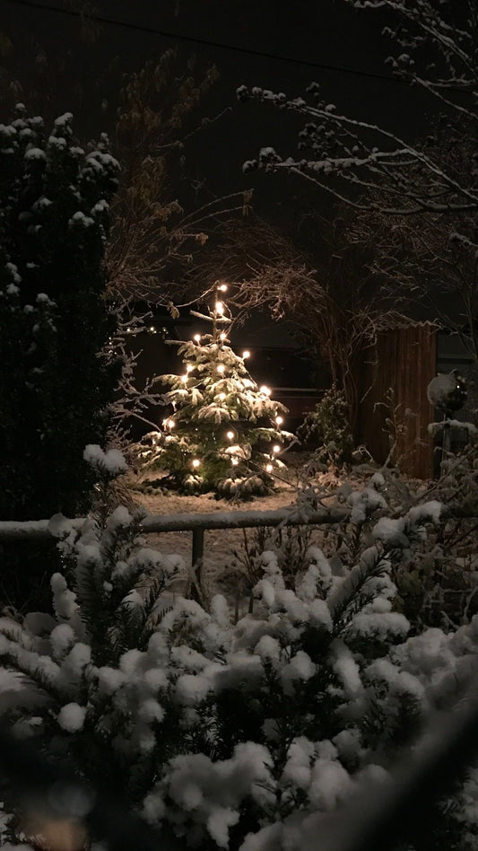Adventskalender