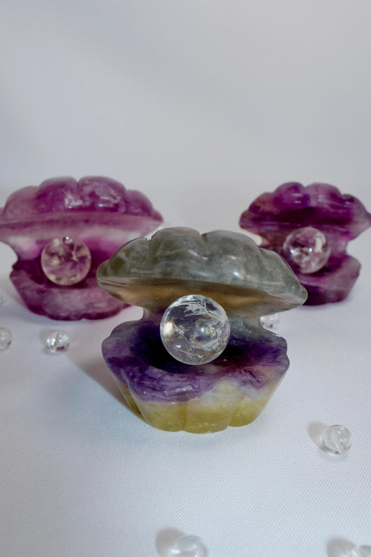 Fluorit Muscheln