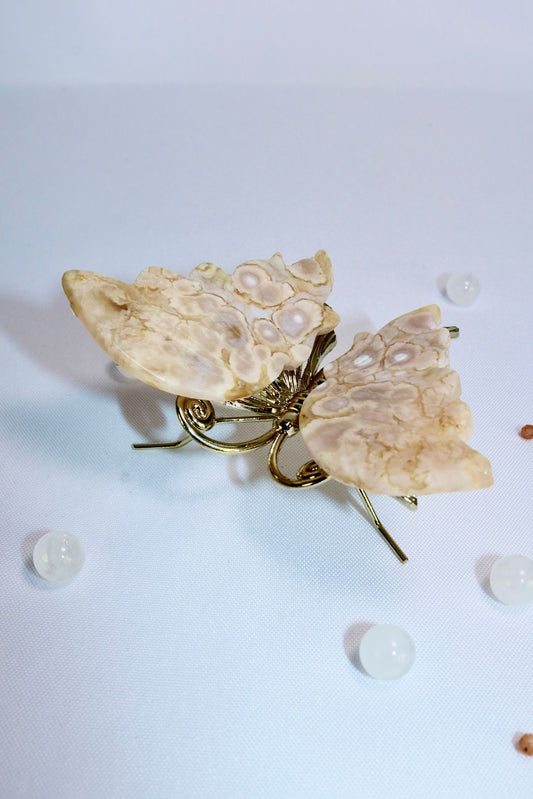 Blumenachat Schmetterling