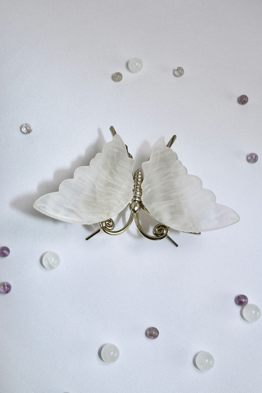 Selenit Schmetterling