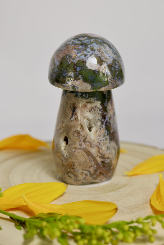 Moosachat Pilz