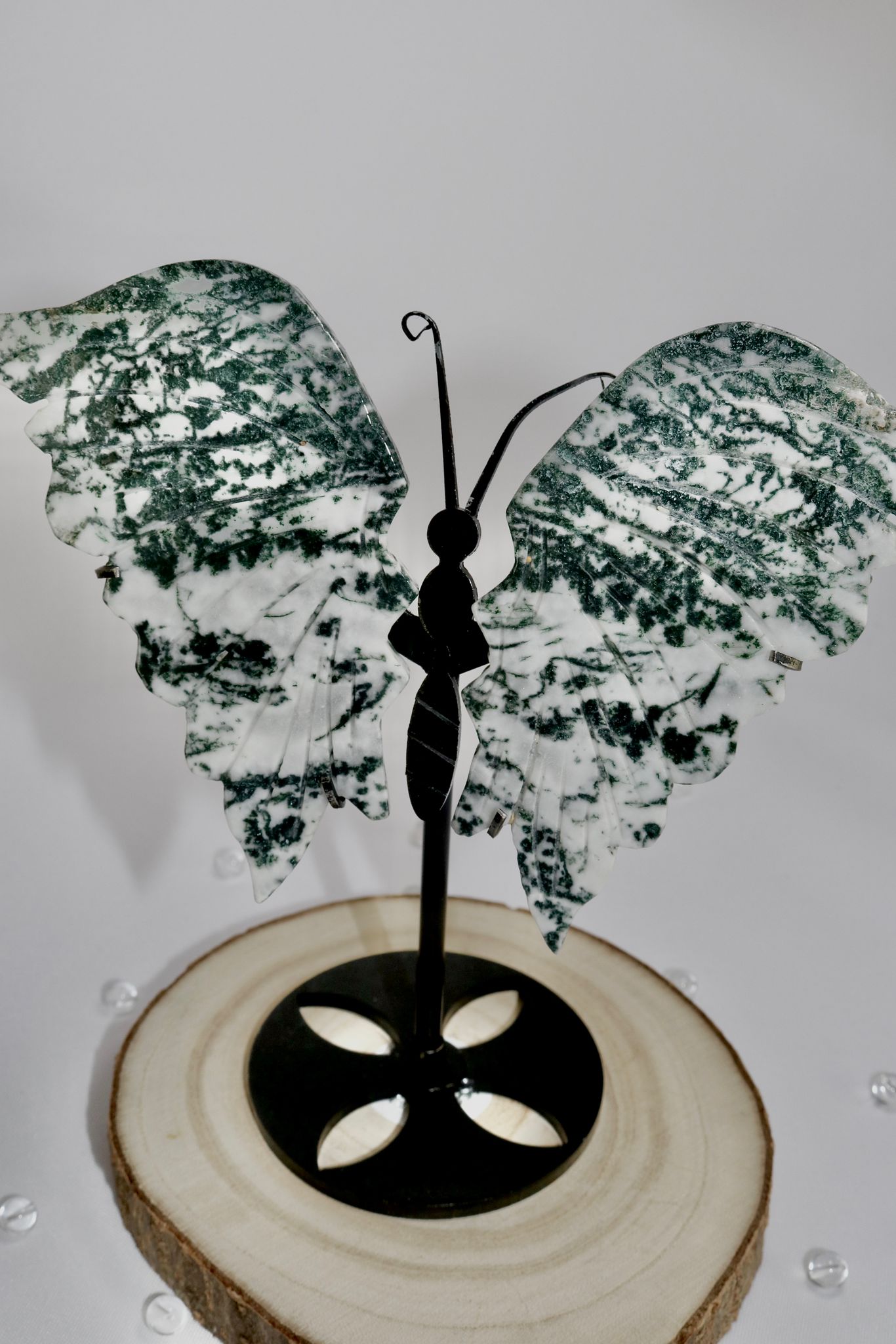 Moosachat Schmetterlinge