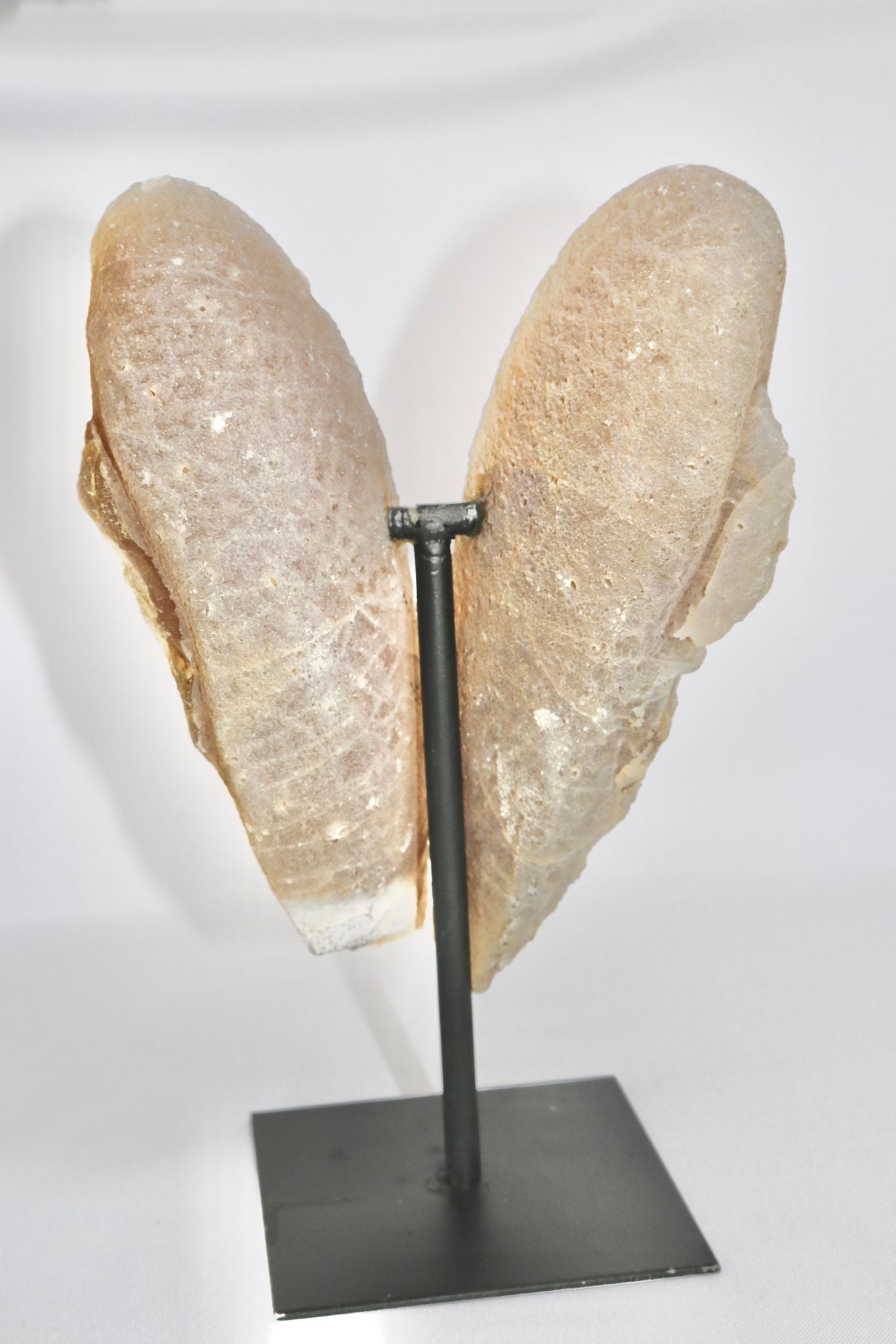 Achat Schmetterling