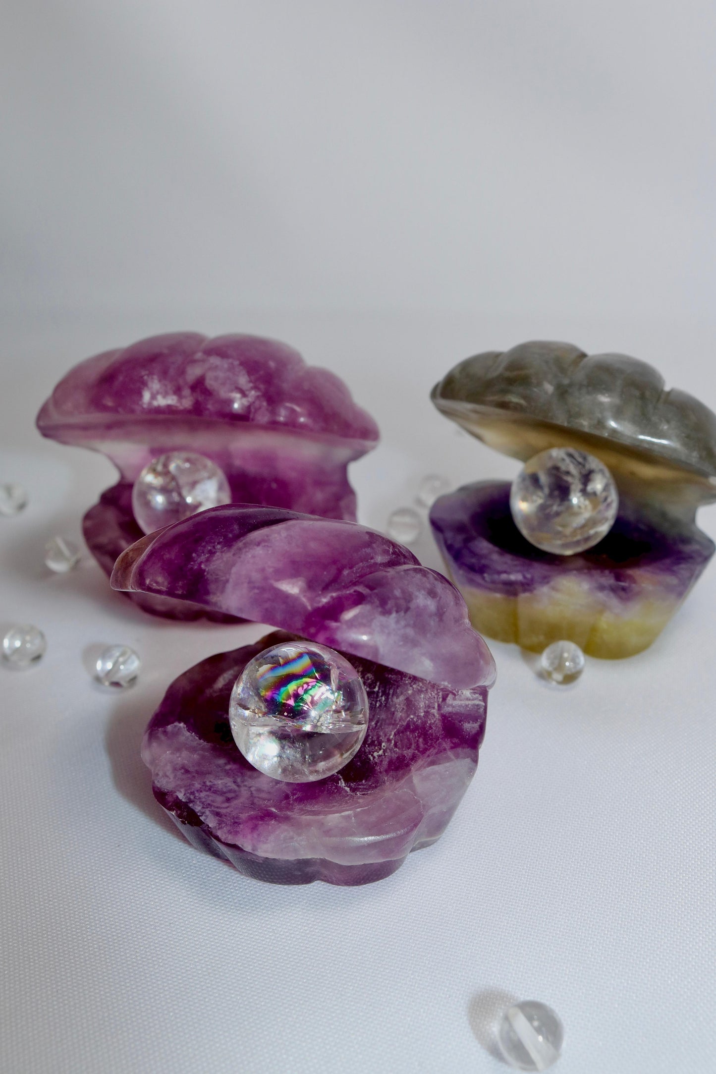 Fluorit Muscheln