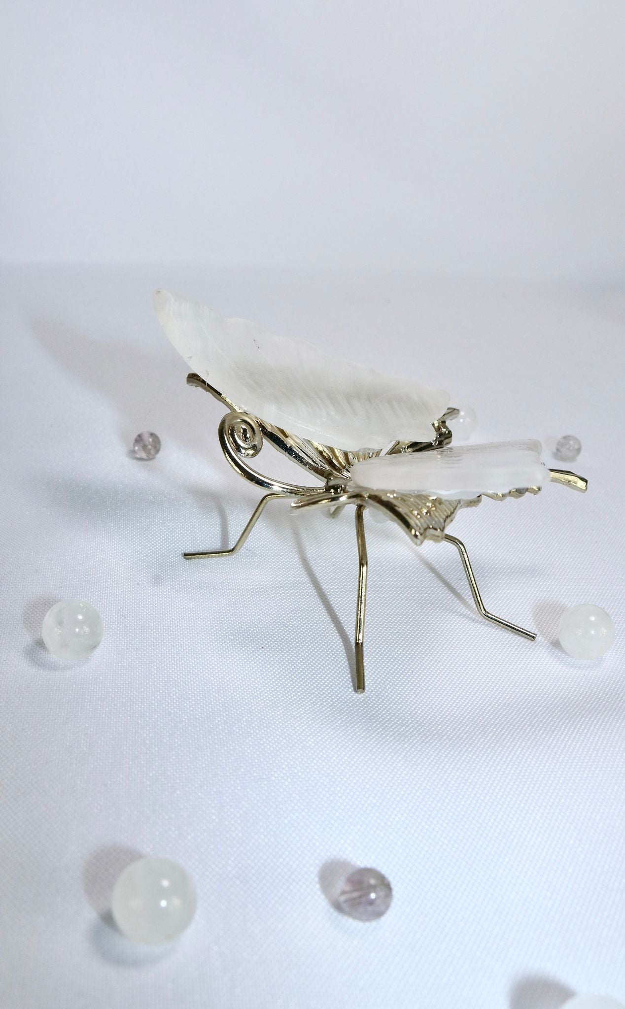 Selenit Schmetterling