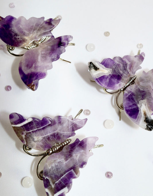 Chevronamethyst Schmetterlinge