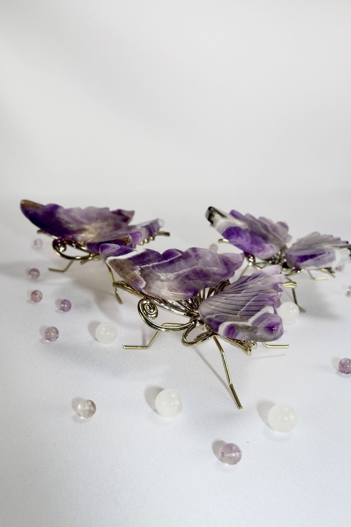 Chevronamethyst Schmetterlinge